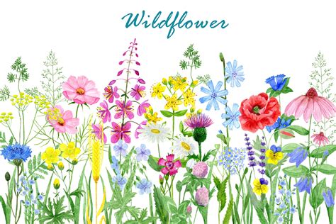 Wildflower Clip Art .